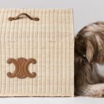 Celine Dog Accessories Campaign, Release Info