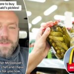 Ex-McDonald's chef reveals secret pickle McDupe hack
