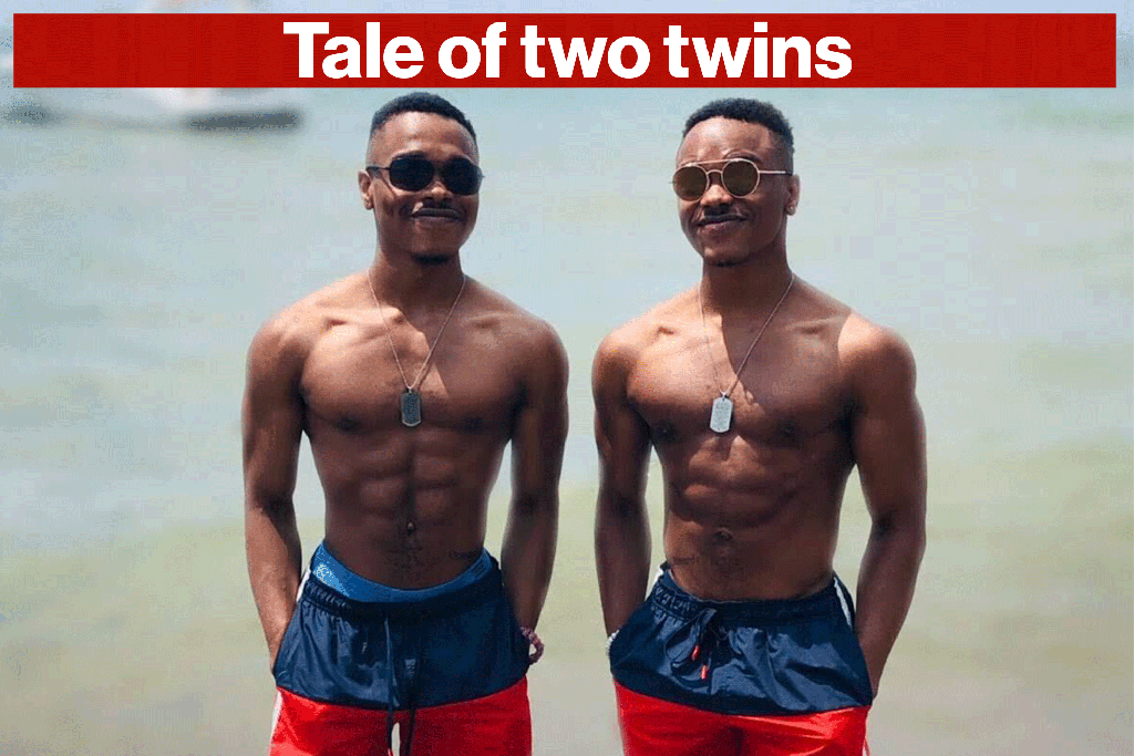 Tale of two twins / Vegan / Omnivore
