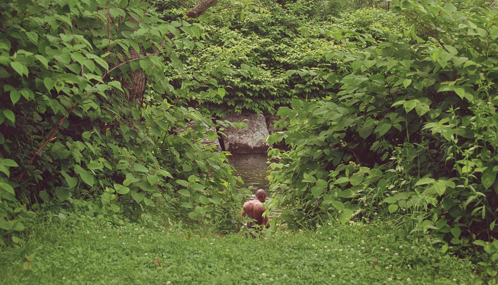 A photograph of a man with his back facing the camera, barely visible amidst luscious green foliage. He appears about to step into a river.