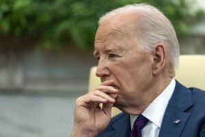 Biden's only strategy is to 'give away more stuff': veteran political strategist